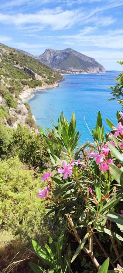 5 Min Front The Beach - Cala Luna House Cala Gonone Bagian luar foto